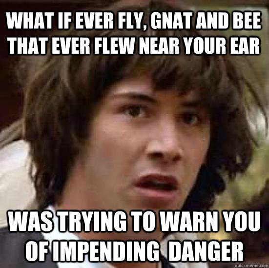 What if ever fly, gnat and bee that ever flew near your ear was trying to warn you of impending  danger - What if ever fly, gnat and bee that ever flew near your ear was trying to warn you of impending  danger  conspiracy keanu