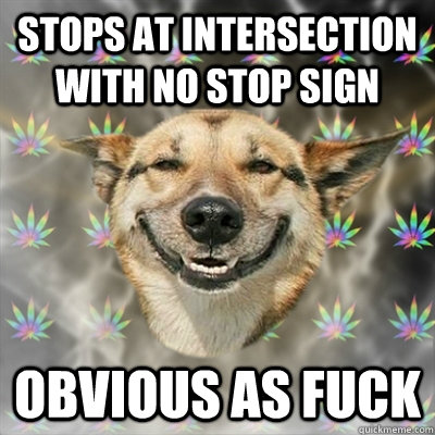 Stops at intersection with no stop sign obvious as fuck  Stoner Dog