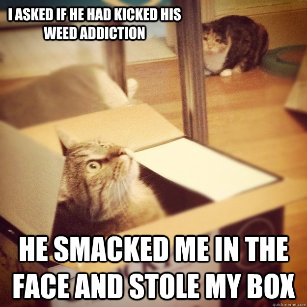 I asked if he had kicked his WEED addiction he smacked me in the face and stole my box  Cats wife