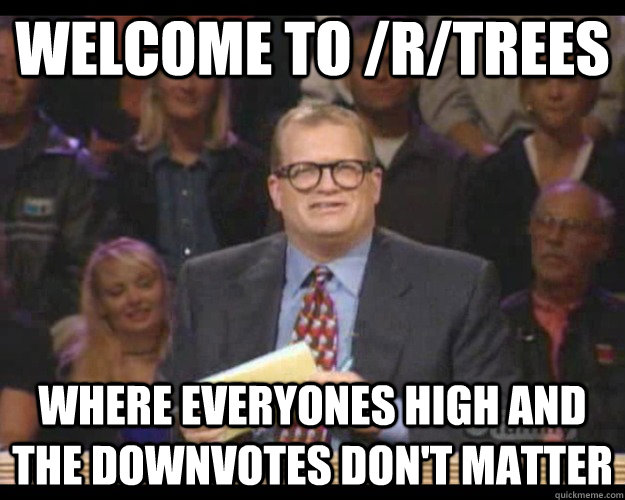 Welcome to /r/trees Where everyones high and the downvotes don't matter  