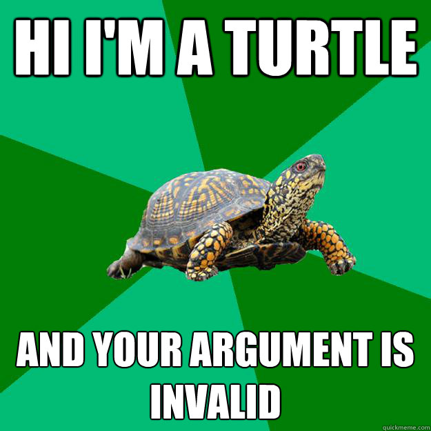 Hi i'm a turtle And your argument is invalid - Hi i'm a turtle And your argument is invalid  Torrenting Turtle