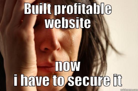 BUILT PROFITABLE WEBSITE NOW I HAVE TO SECURE IT First World Problems