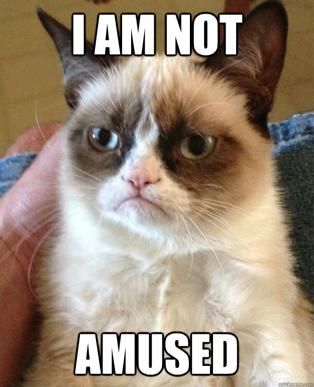 I am NOT Amused  Grumpy Cat