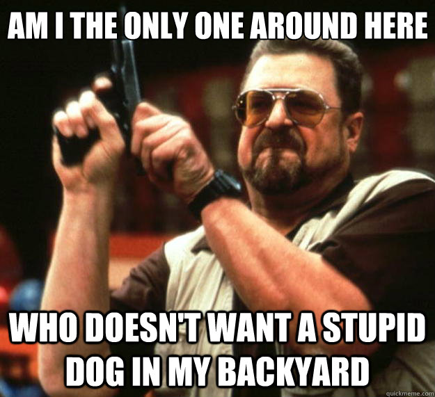 Am I the only one around here who doesn't want a stupid dog in my backyard  Big Lebowski