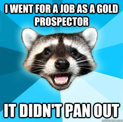 I WENT FOR A JOB AS A GOLD PROSPECTOR IT DIDN'T PAN OUT  Lame Pun Coon