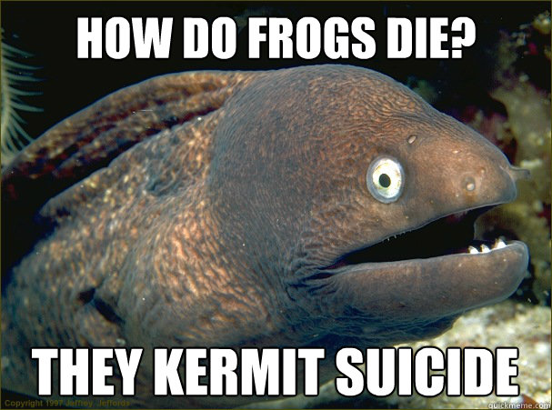 How do frogs die? They Kermit suicide - How do frogs die? They Kermit suicide  Bad Joke Eel