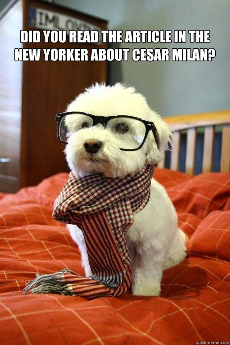 Did you read the article in the New Yorker about Cesar Milan?   Hipster Dog