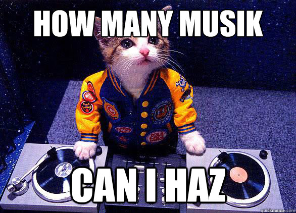 how many musik can i haz  cat DJ