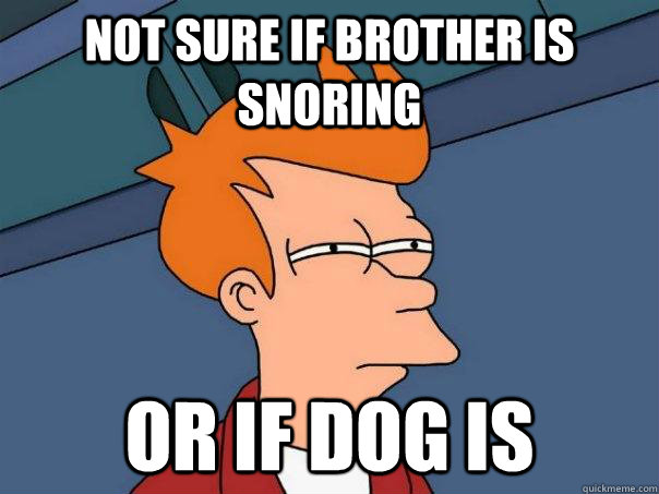 Not sure if brother is snoring Or if dog is  Futurama Fry