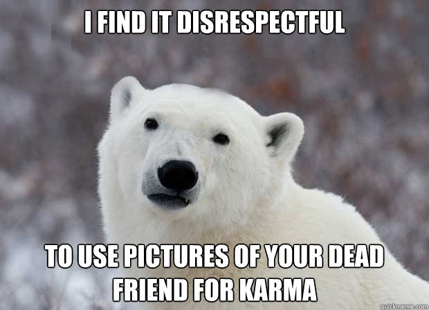 I find it disrespectful to use pictures of your dead friend for karma  Popular Opinion Polar Bear