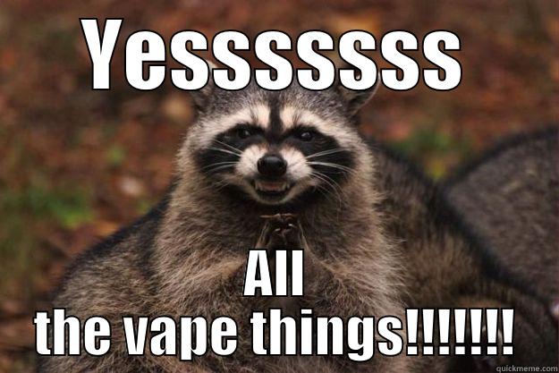 YESSSSSSS ALL THE VAPE THINGS!!!!!!! Evil Plotting Raccoon