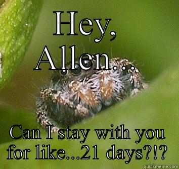 HEY, ALLEN... CAN I STAY WITH YOU FOR LIKE...21 DAYS?!? Misunderstood Spider