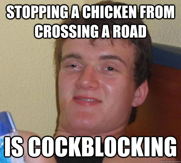 Stopping a chicken from crossing a road is cockblocking  10 Guy