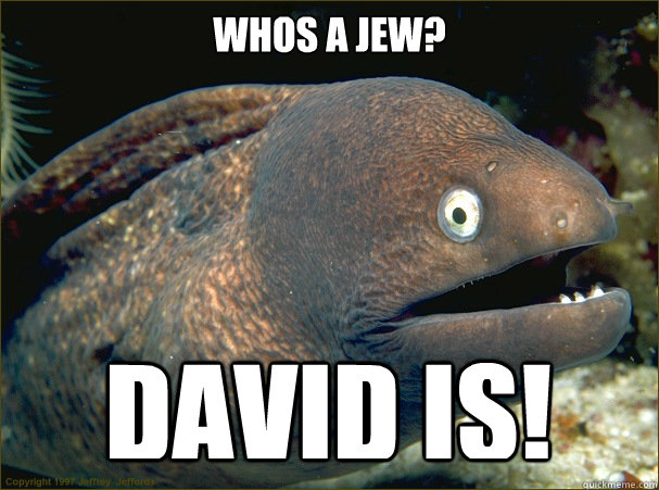 whos a jew? david is! - whos a jew? david is!  Bad Joke Eel