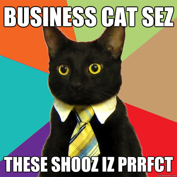 business cat sez these shooz iz prrfct  Business Cat