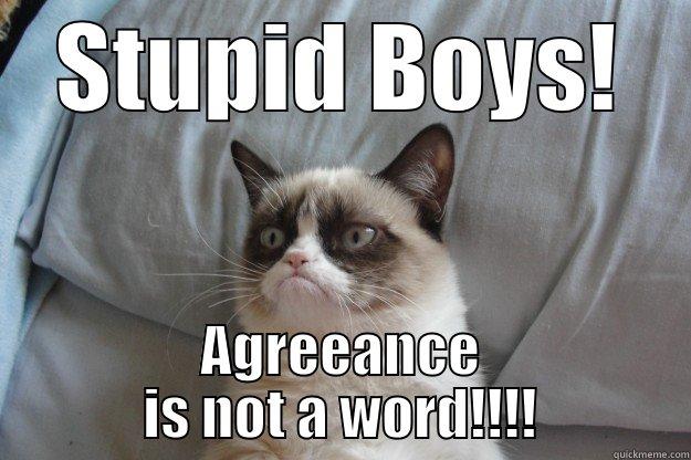 Agreeance is not a word! - STUPID BOYS! AGREEANCE IS NOT A WORD!!!! Grumpy Cat