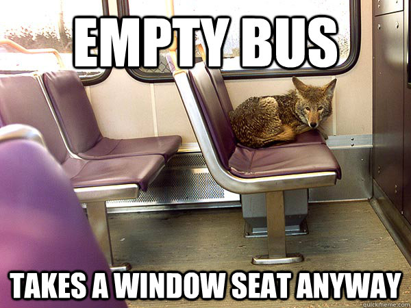 Empty bus Takes a window seat anyway - Empty bus Takes a window seat anyway  Misc