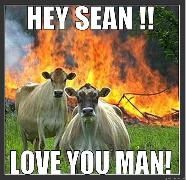 HEY SEAN !! LOVE YOU MAN! Evil cows