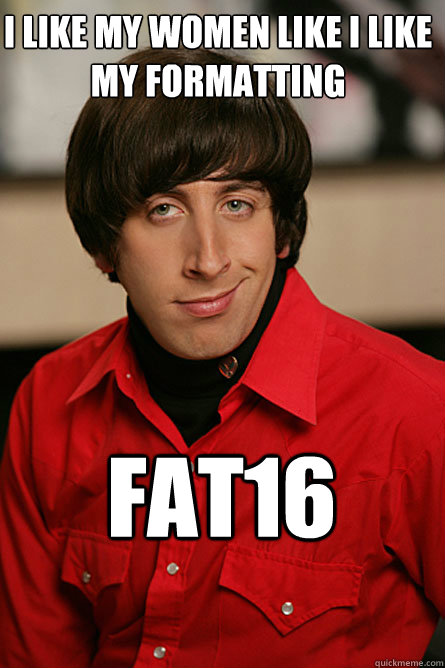 I like my women like i like my formatting  fat16  Pickup Line Scientist