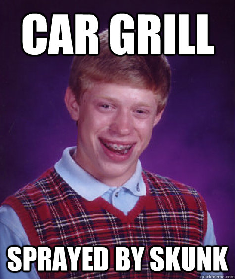 car grill sprayed by skunk  Bad Luck Brian