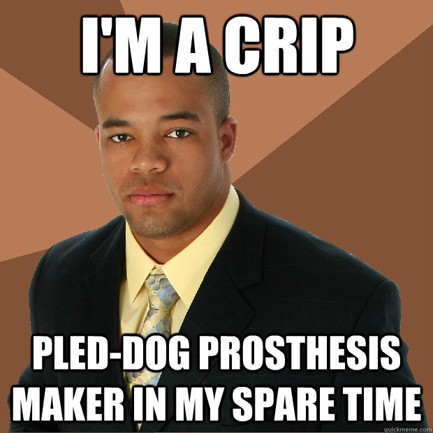 I'm a crip pled-dog prosthesis maker in my spare time  Successful Black Man