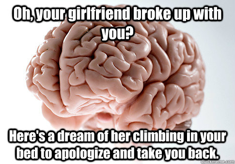 Oh, your girlfriend broke up with you? Here's a dream of her climbing in your bed to apologize and take you back.  Scumbag Brain