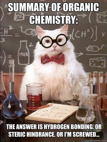 Summary of organic chemistry: The Answer is hydrogen bonding. Or steric hindrance. Or I'm screwed...  Chemistry Cat