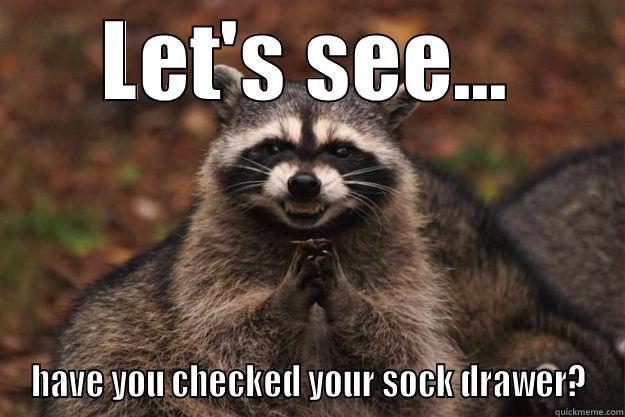 Check the Sock Drawer - LET'S SEE... HAVE YOU CHECKED YOUR SOCK DRAWER? Evil Plotting Raccoon