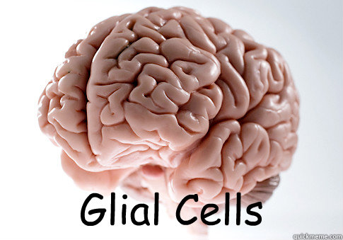  Glial Cells  Scumbag Brain