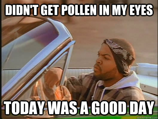 didn't get pollen in my eyes Today was a good day  today was a good day