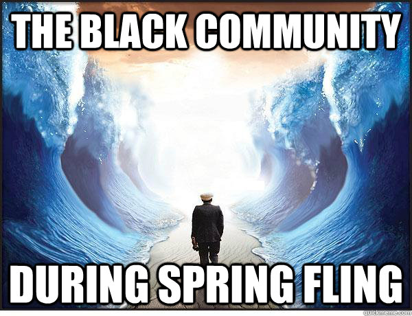 The Black Community  During Spring Fling - The Black Community  During Spring Fling  UVA Spring Fling