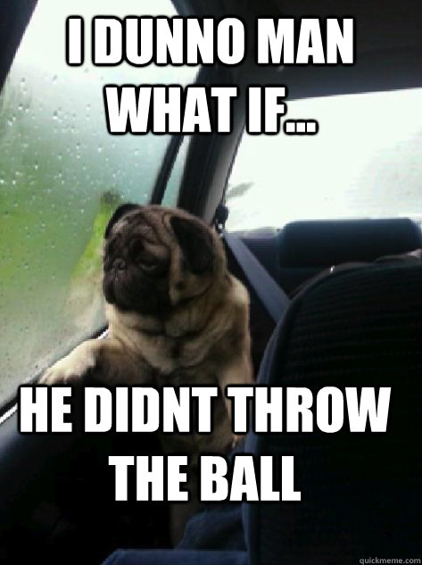 i dunno man what if... he didnt throw the ball   Introspective Pug