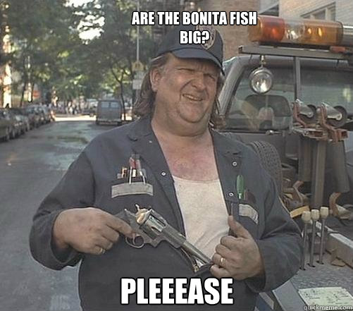 PLeeease Are the bonita fish big?  Packin toe-truck driver