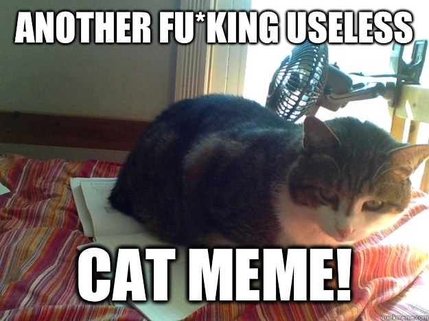 Another fu*king useless Cat meme!  