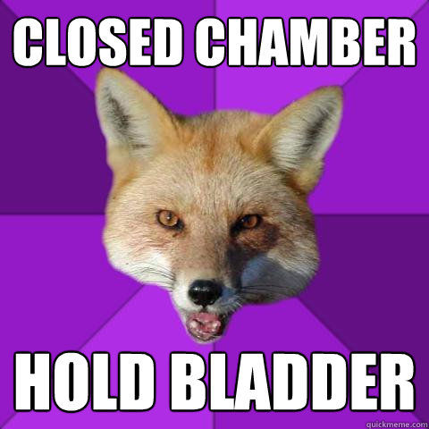 Closed chamber hold bladder - Closed chamber hold bladder  Forensics Fox