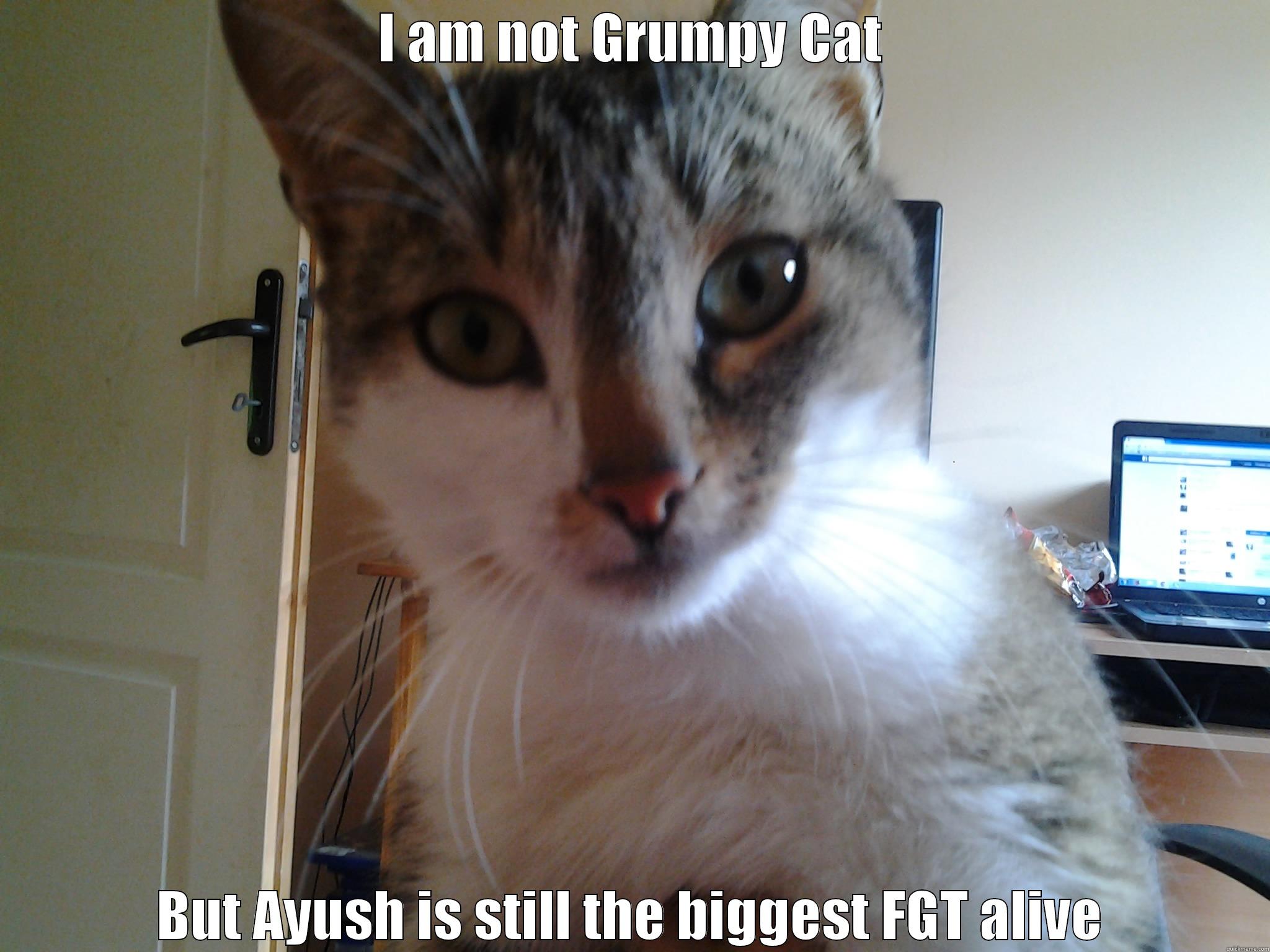 i am not grumpy but aysuhss iuajsiaojso - I AM NOT GRUMPY CAT BUT AYUSH IS STILL THE BIGGEST FGT ALIVE Misc