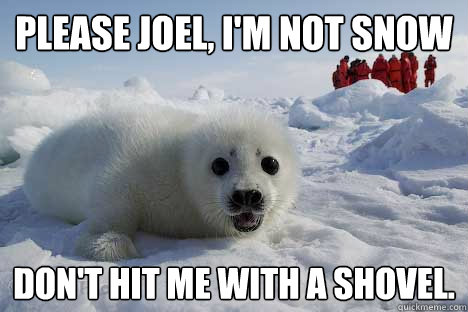 Please Joel, I'm not snow Don't hit me with a shovel.  