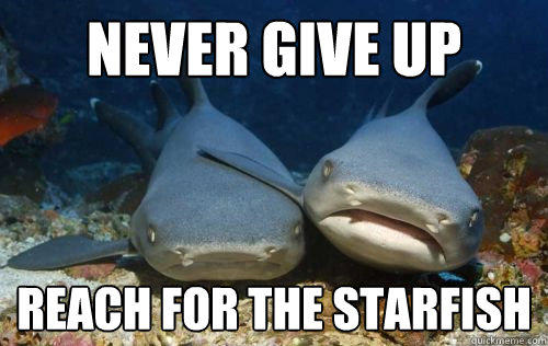 never give up reach for the starfish  