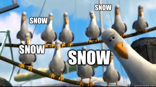 Snow Snow Snow Snow  Nemo Birds