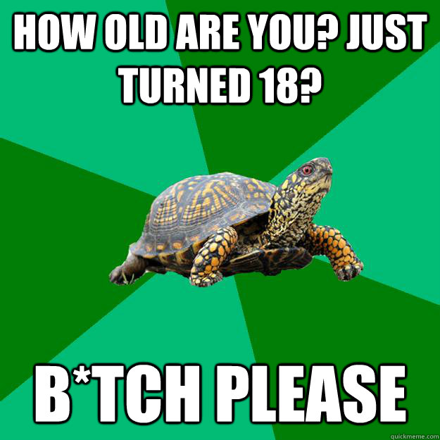 how old are you? Just turned 18? B*TCH please  Torrenting Turtle