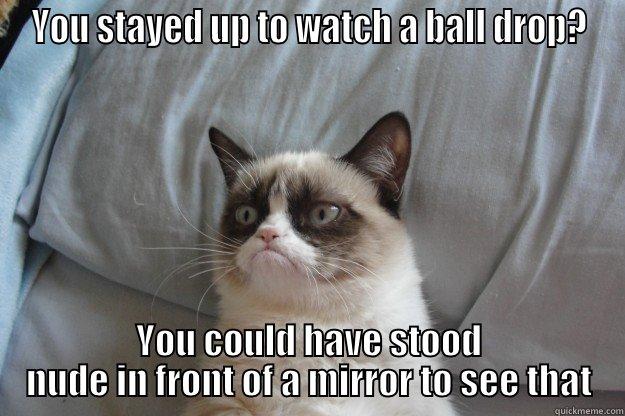 YOU STAYED UP TO WATCH A BALL DROP? YOU COULD HAVE STOOD NUDE IN FRONT OF A MIRROR TO SEE THAT Grumpy Cat