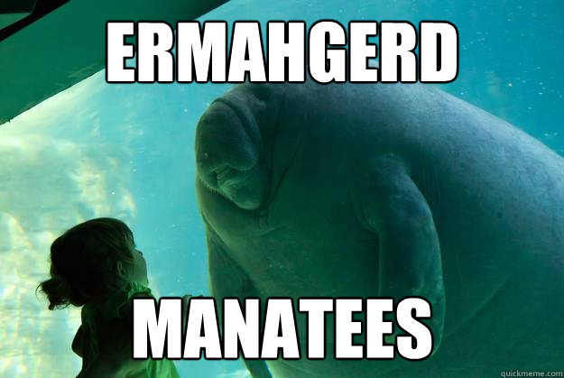 ERMAHGERD MANATEES - ERMAHGERD MANATEES  Overlord Manatee