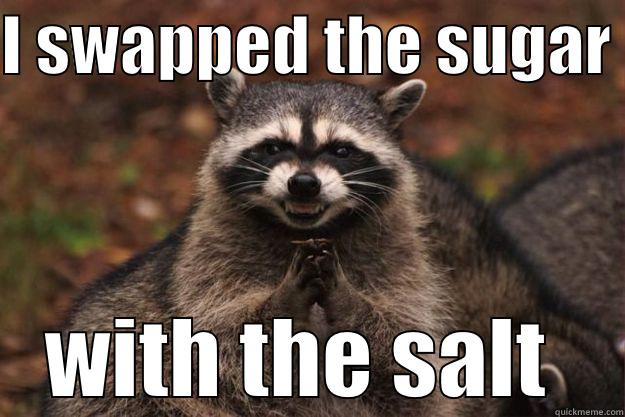 not so sweet - I SWAPPED THE SUGAR  WITH THE SALT  Evil Plotting Raccoon