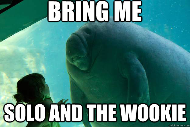 Bring Me  Solo and the Wookie - Bring Me  Solo and the Wookie  Overlord Manatee