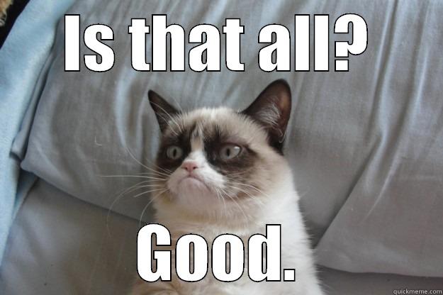 IS THAT ALL? GOOD. Grumpy Cat