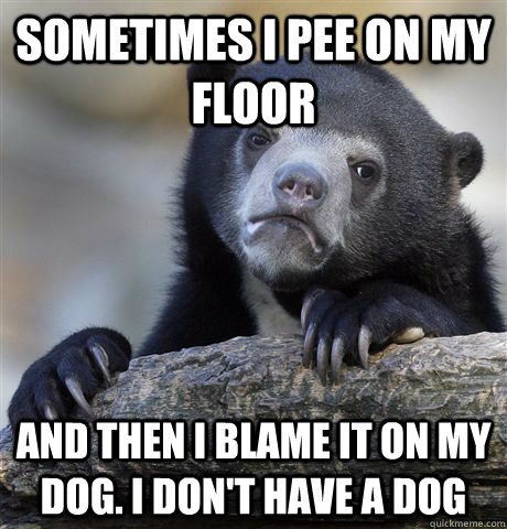 sometimes i pee on my floor and then i blame it on my dog. i don't have a dog  Confession Bear