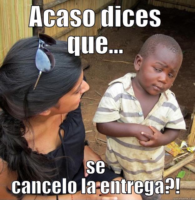 ACASO DICES QUE... SE CANCELO LA ENTREGA?! Skeptical Third World Kid