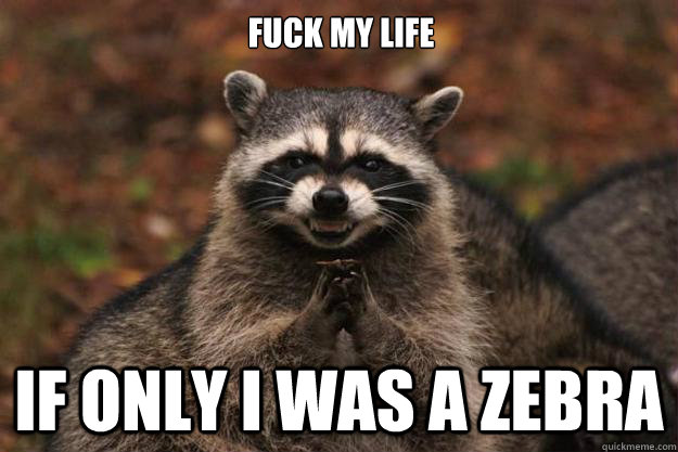 FUCK MY LIFE if only i was a zebra  Evil Plotting Raccoon