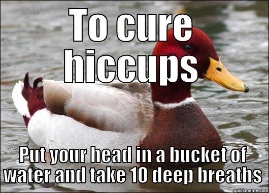 Cure for Hiccups - TO CURE HICCUPS PUT YOUR HEAD IN A BUCKET OF WATER AND TAKE 10 DEEP BREATHS Malicious Advice Mallard