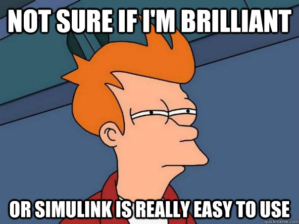 Not sure if I'm Brilliant Or simulink is really easy to use  Futurama Fry